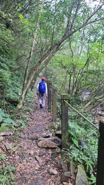 2025-01232淡蘭古道北二段(燦光寮古道到澳底)2696562