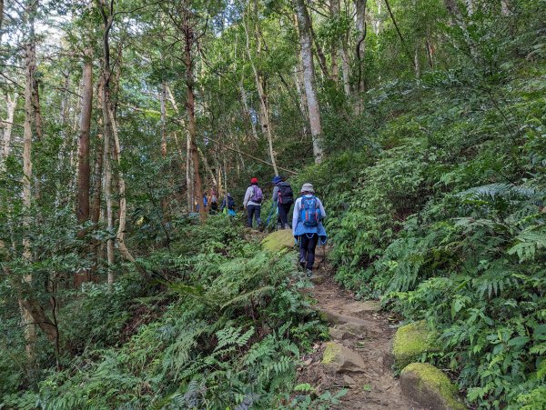 內鳥嘴山、北得拉曼步道2042889