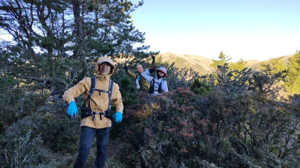 布拉克桑山單攻O繞嘉明湖戒茂斯山 2024年12月8日2666994