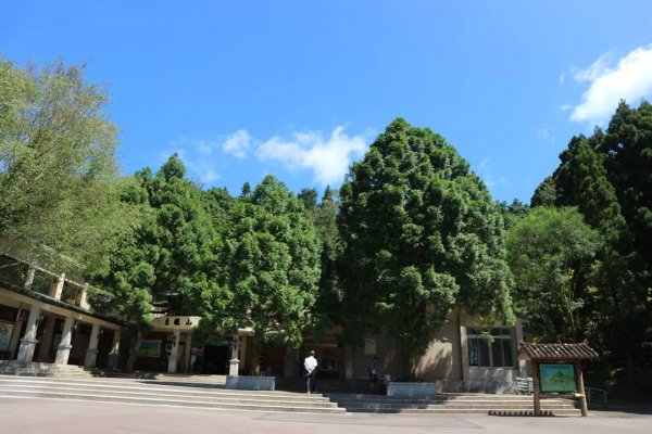 小百岳NO.22東眼山，因山形似躺著的少女  大眼睛向東而望之 絕美柳杉雲海 東眼山2297021