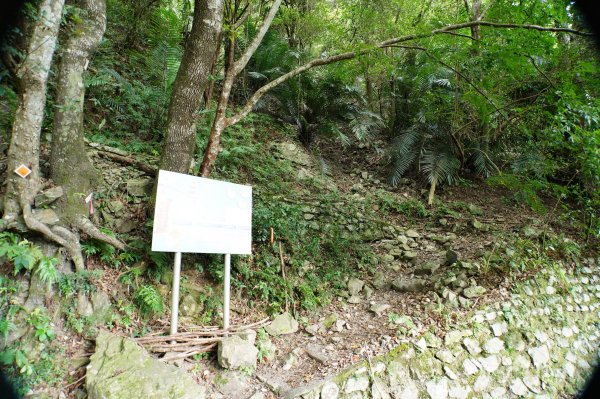 台中 和平 南松鶴山、八仙山、東松鶴山2877999