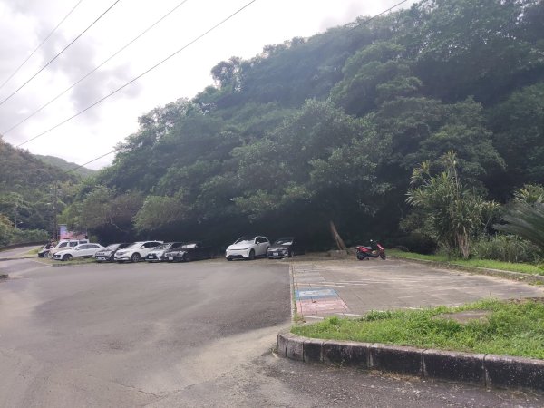 草嶺古道茫草祭2936601