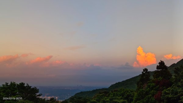 雲山水花鳥蝶 - 天龍國阿伯的日常7/162551878