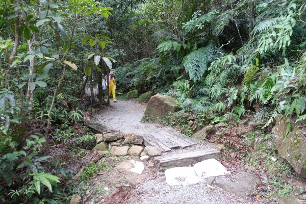 翠山步道．碧溪步道1078539