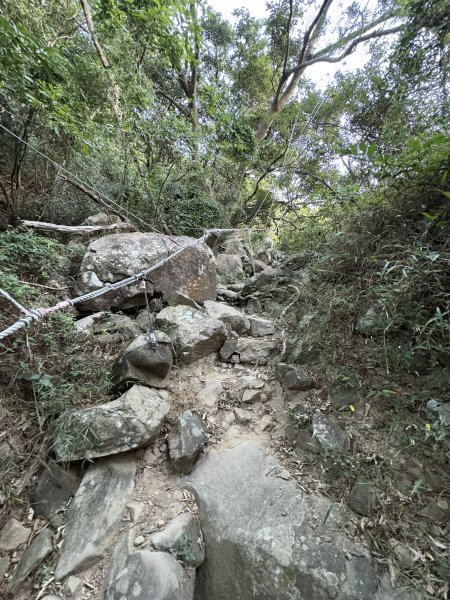 20251213屏東里龍山2961266