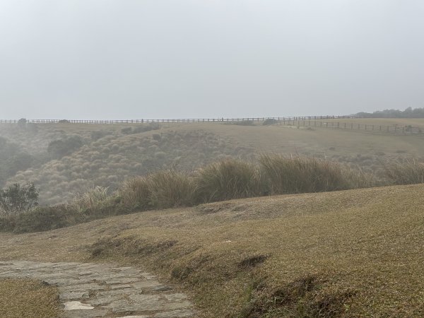 陽明山東西大縱走-東段2984538