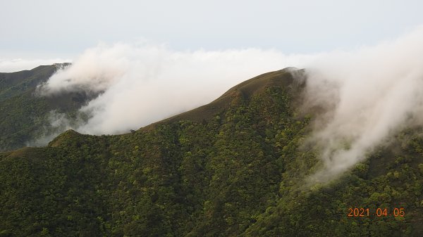 0405陽明山再見雲瀑，今年以來最滿意的一次1335478