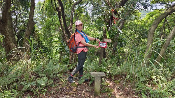 (姨婆趴趴走)第十集:攀登新北鶯歌蛋山，鶯歌郊山步道群縱走(二)2167977