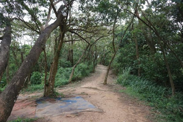 〔內湖〕文間山，劍南蝶園，劍潭古寺，婆婆橋 鄭成功廟步道2249278