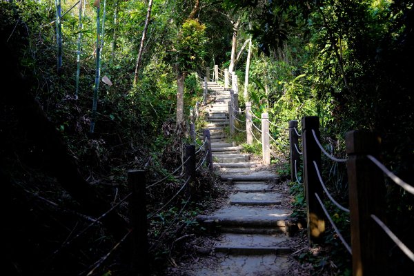 聚興山 新田登山步道2670667