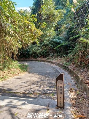 【南投埔里】天旨宮鰲頭山步道x虎頭山鯉魚潭步道x虎頭山觀景平台連走2988490