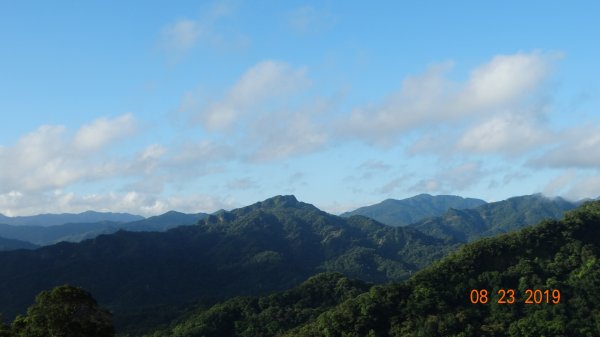 補考 - 艷紅鹿子百合656630