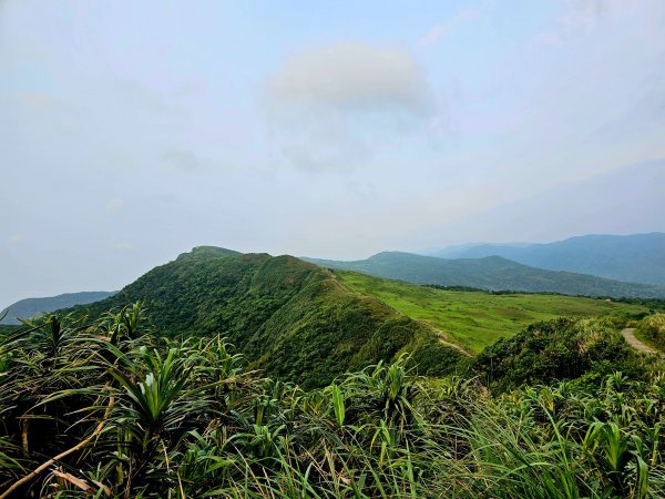 小百岳集起來-灣坑頭山2185226