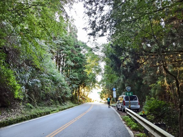 [百山百鳥尋旅-12/15] 2025_0928 特富野古道2899581