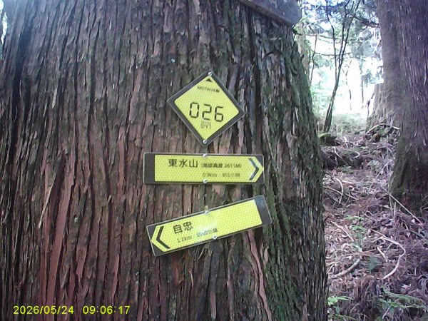 兒玉(自忠)山、東水山、東水山西峰及特富野古道O繞。3061782