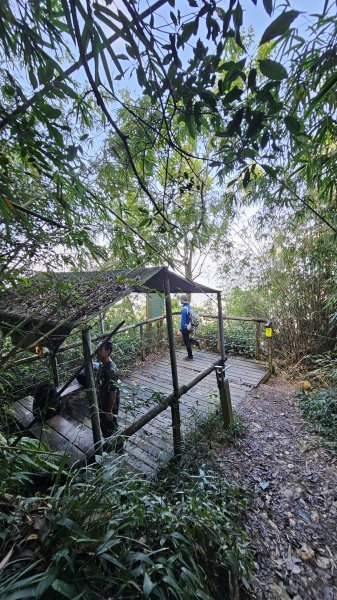 【尾寮山靜修日：一人一山，一念清明，山無語，我自省】🌿2937952