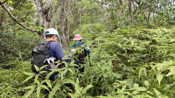 飛沙縱走33連峰2025年4月13日2760322