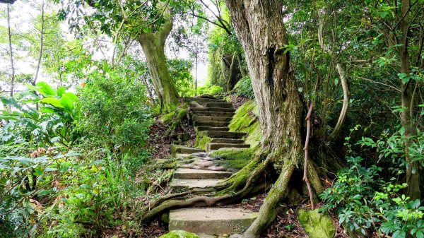 微笑山線405高地段2844155