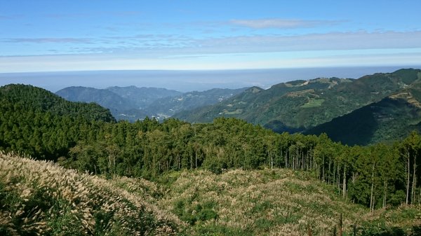 羅山林道北線趴趴走417943