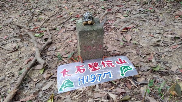 龍虎雙碑縱走2989644