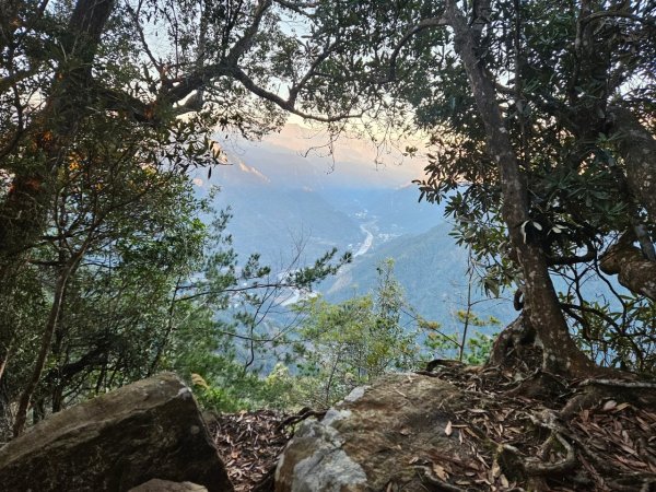 20250112八眉阿2688344