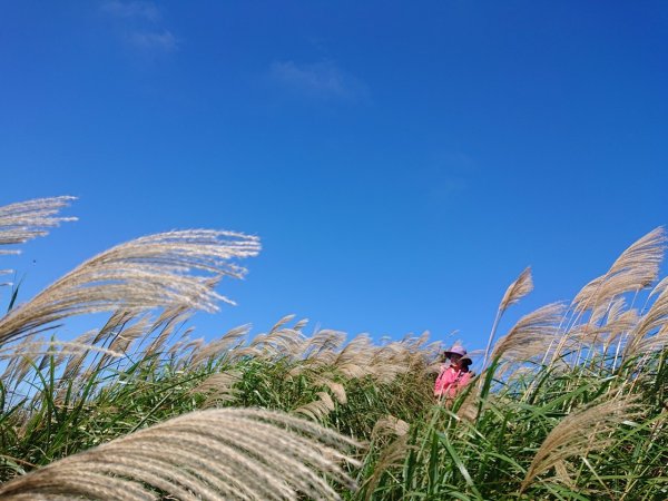 雪山尾稜（大里—福隆全段）1184770