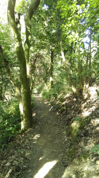 鳶山-福德坑山 105.06.2450388