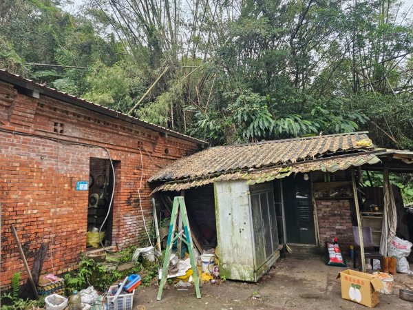 20241222冷飯坑山-楓子林山-烏月山群峰-昇高坑山-竹麻寮山2674715