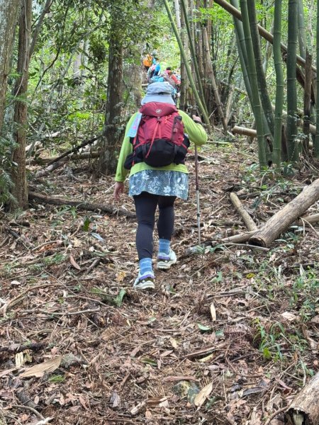 阿里眉山+大舌滿山（路跡不明/未竟 ）2864618