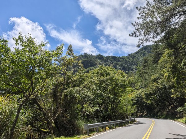 [山海圳_聖山之路_第一段] 2026_0802 自忠⮕鹿林山登山口3109100