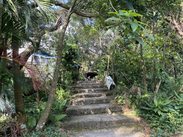 [微笑山線_第五段] 2025_0705 天上山系_五尖山2830306