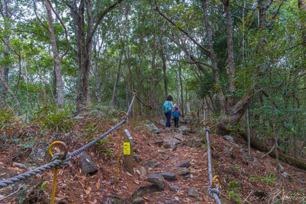 谷關七雄_波津加山2977575