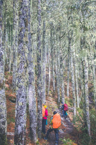 20201224~26-終於看到嘉明湖本人了!1581983