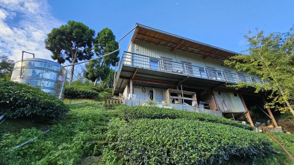 241122-慢走溪頭六連峰（大崙頭山、貓冬望山、民眾坪山、樟空崙山、志騰山、竹崙山）。美美兔沒在怕2654741