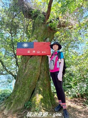 【桃園大溪】溪洲山步道(福山巖登山步道)3057155