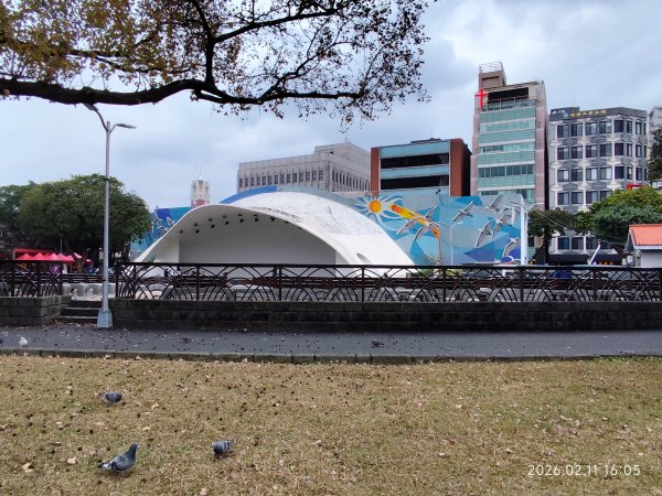 【新春賞櫻樂】平菁街42巷、宜蘭頭城火車站、二二八和平公園、東湖樂活公園3007713