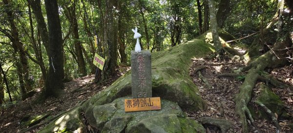 2025/08/09_赤柯山+東獅頭山步道2856308