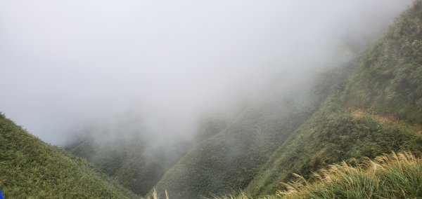 2021-09/19-宜蘭礁溪- 抹茶山三角崙山1466429