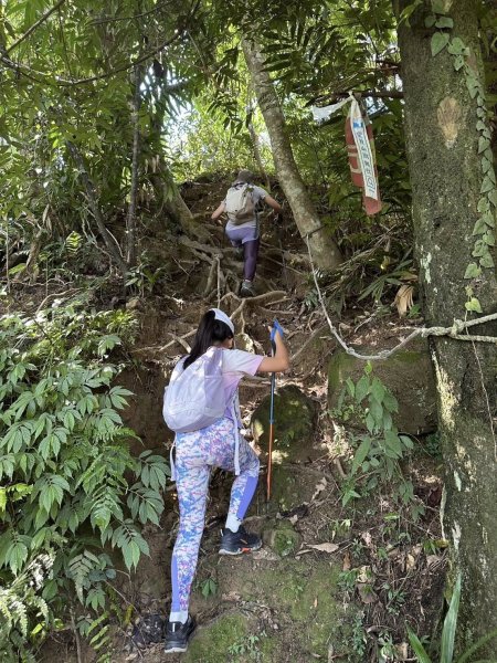 20250824小百岳大橫屏山2871817