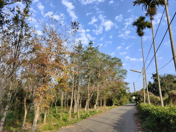 2024.01.07 橫山三叉埤、墩子銃古道2843808