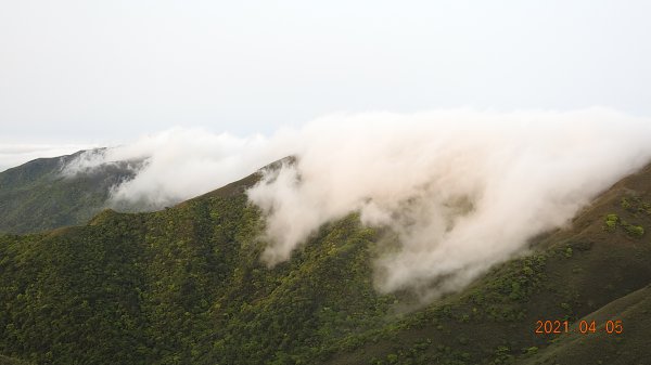 0405陽明山再見雲瀑，今年以來最滿意的一次1335485