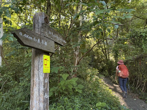 白毛山O繞+臭頭山 202505172791732