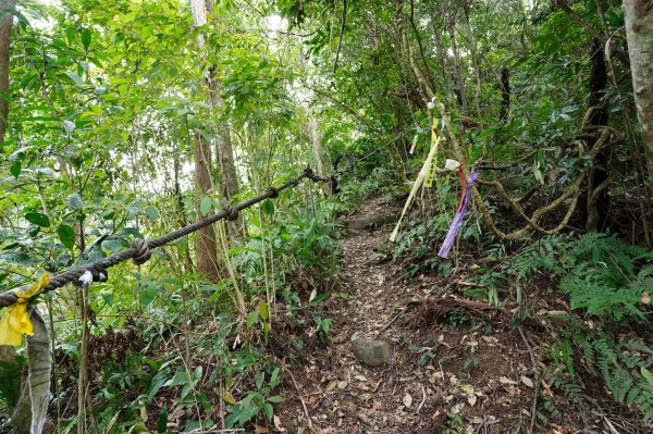 新北 烏來 大刀山、拉樸山、阿玉溪山2704958