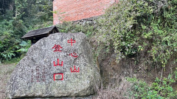 九份二山 集集大山 九尖賞梅2695256