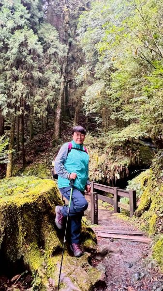 🌈3/28（六）觀霧檜山巨山步道×瀑布步道✨FB：熊熊趴爬走🌈3025248