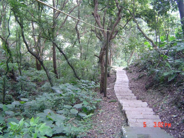 2008 Apr. 天母之下竹林步道584602