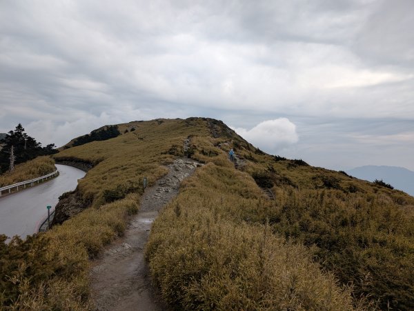 合歡驚魂記2987966