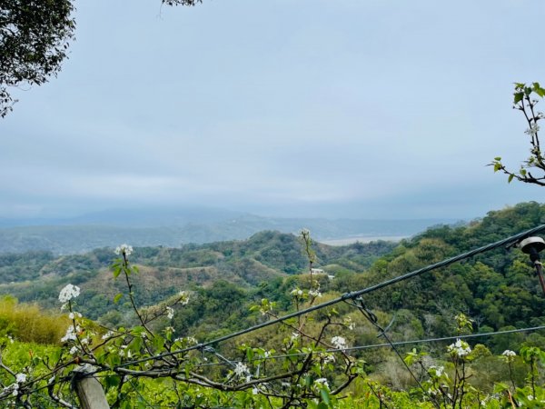 1100306.13鳳凰山.觀音山步道1298284