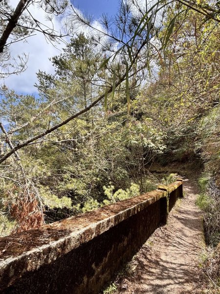 20260212回嘉遊的大塔山2999910