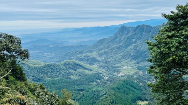 1101125留龍頭-嶺頭山-杉林溪1528638